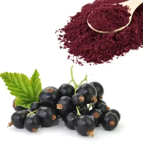 Black currant powder